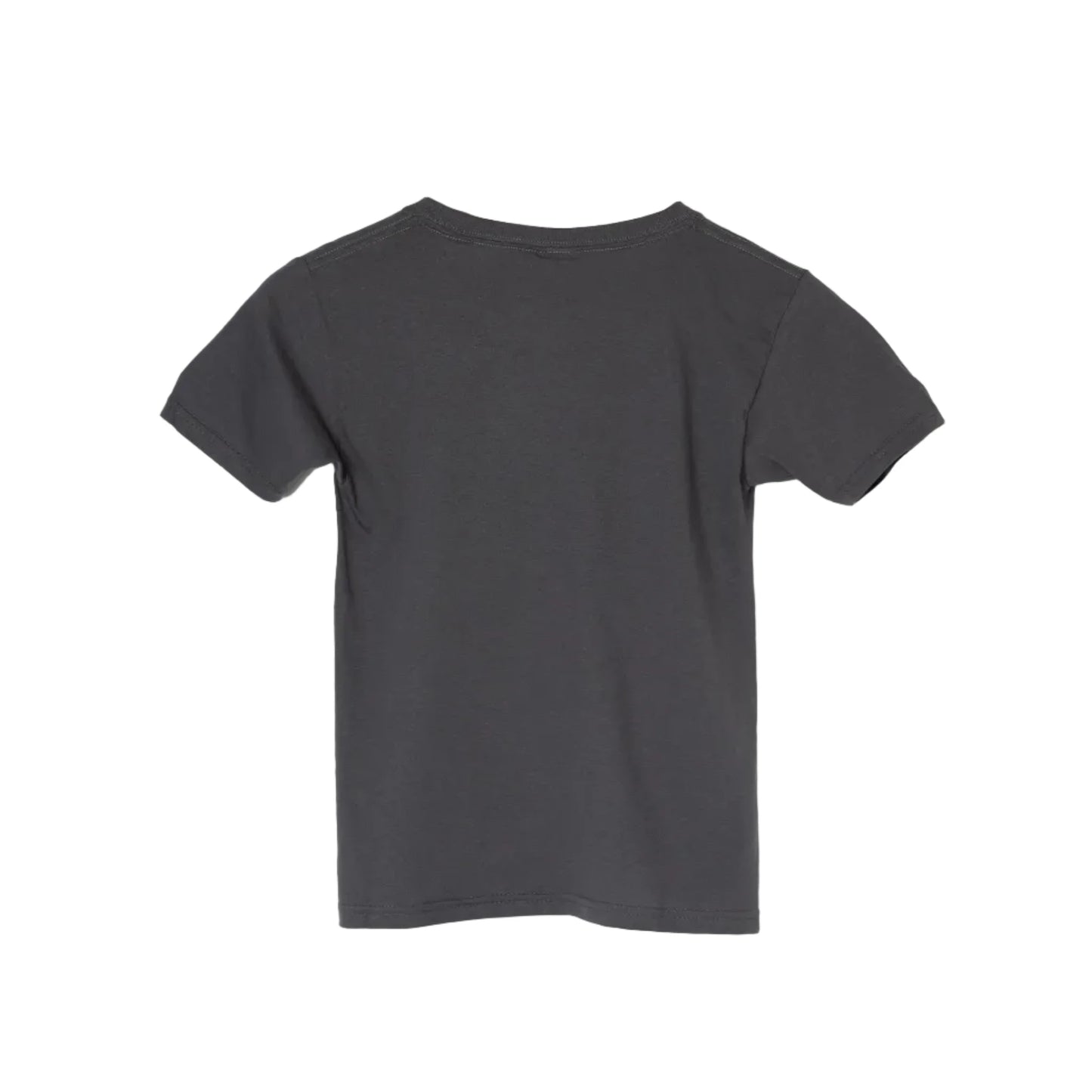 Mighty Moose Tee — Charcoal Gray